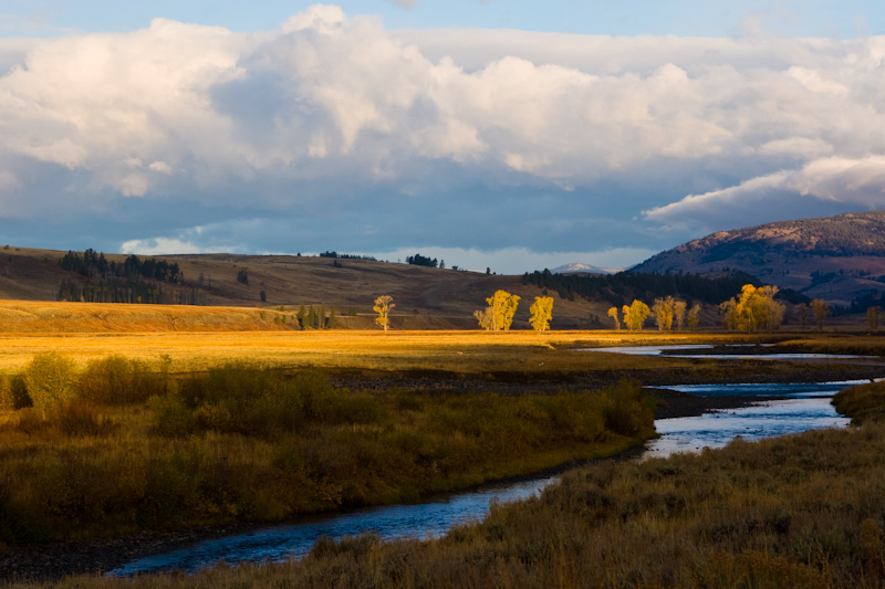 Lamar River Valley